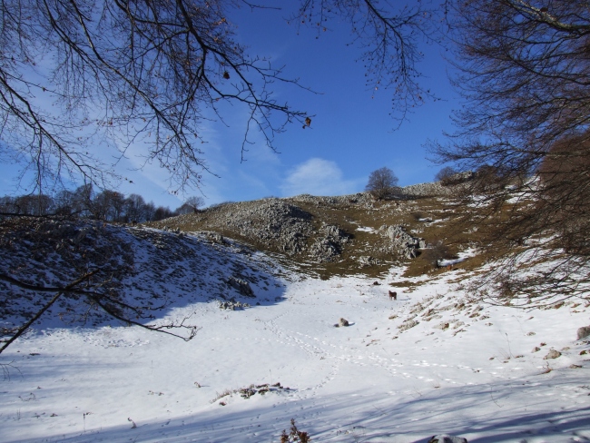 Versante laziale del Parco Nazionale d''Abruzzo